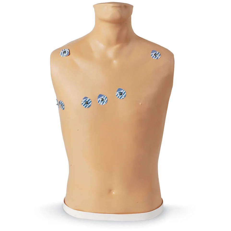 15-Lead ECG Placement Trainer - Image 4