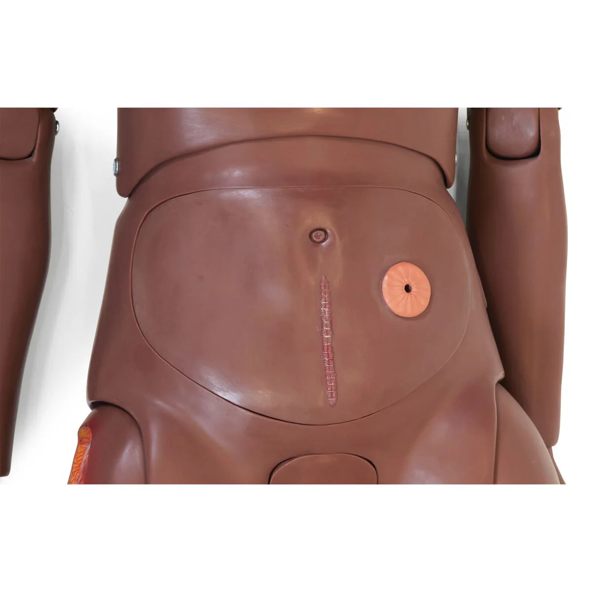 3B Scientific® Basic Patient Care Manikin - Dark Skin - Image 3