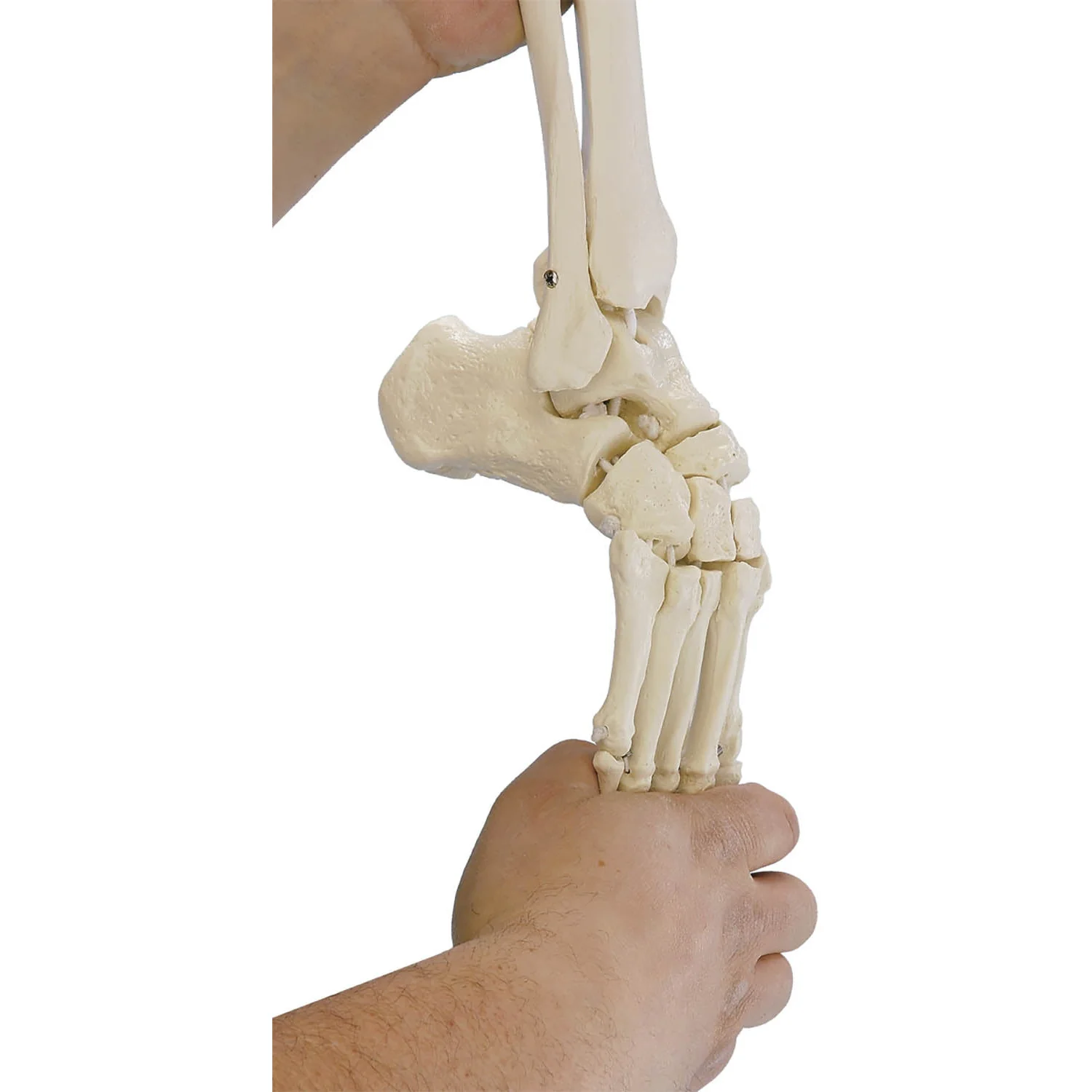 Additional Option Flexible Foot (Right)