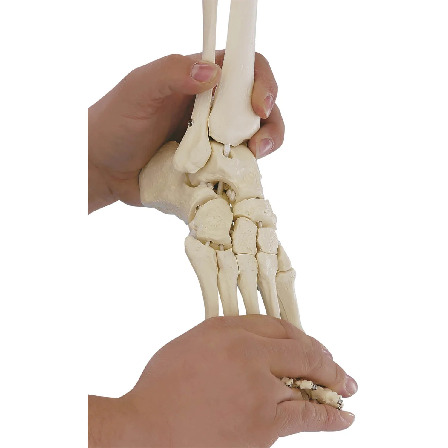 Additional Option Flexible Foot (Right) - Image 2
