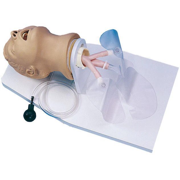 Adult Intubation Head Airway Larry