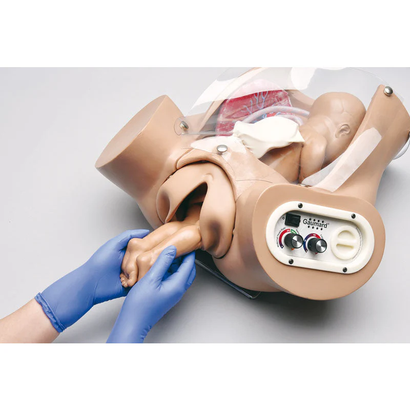 Advanced Birthing Torso