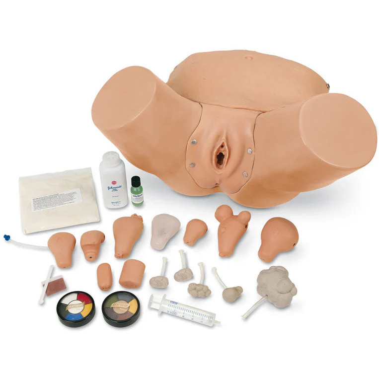 Advanced Pelvic Examination & Gynecological Simulator
