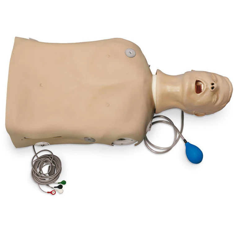 Airway Larry Adult Airway Management Trainer Torso