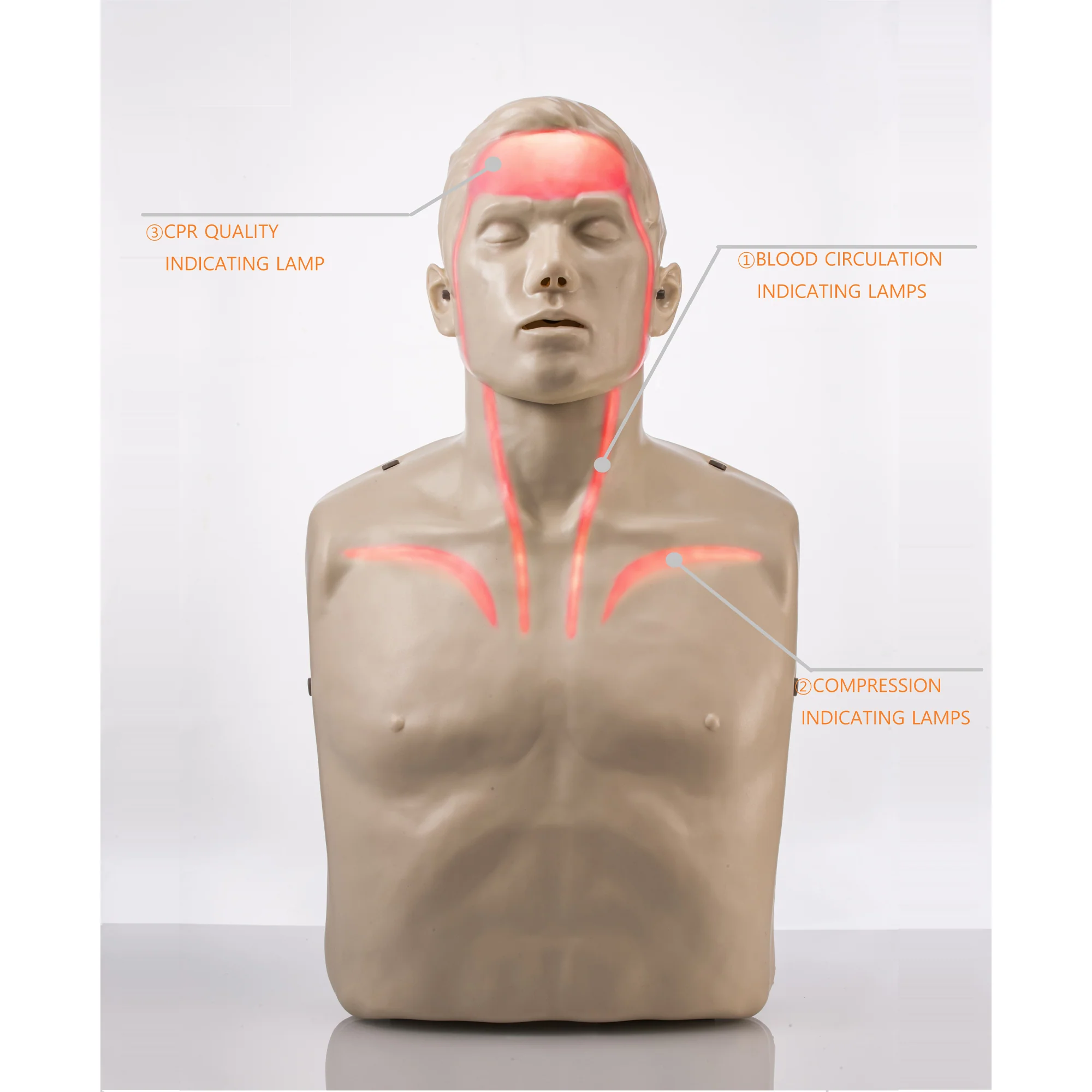 Brayden Adult Advanced Manikin - Red Light - Image 3