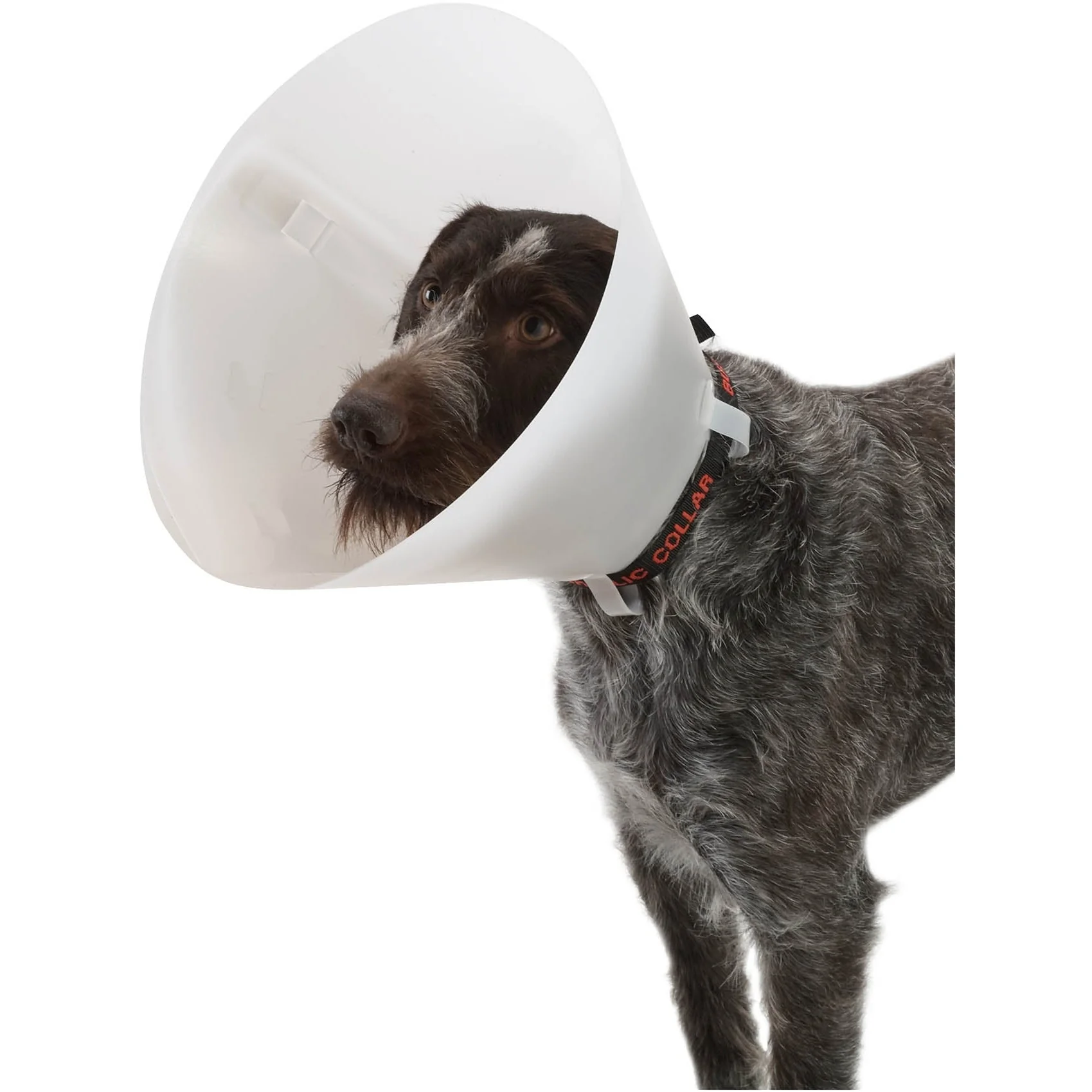 Buster Classic Collar 30cm X10