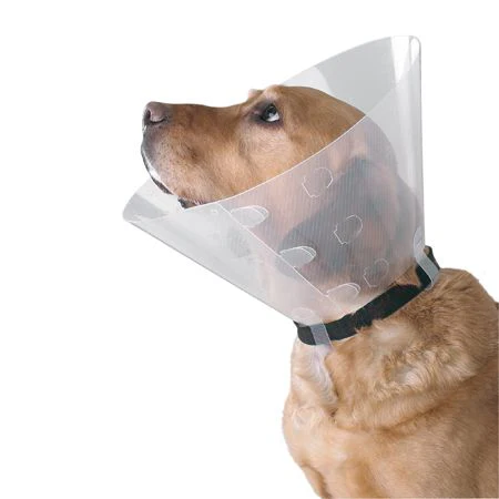 Buster Clic Collar 30cm (Clear) 10pk