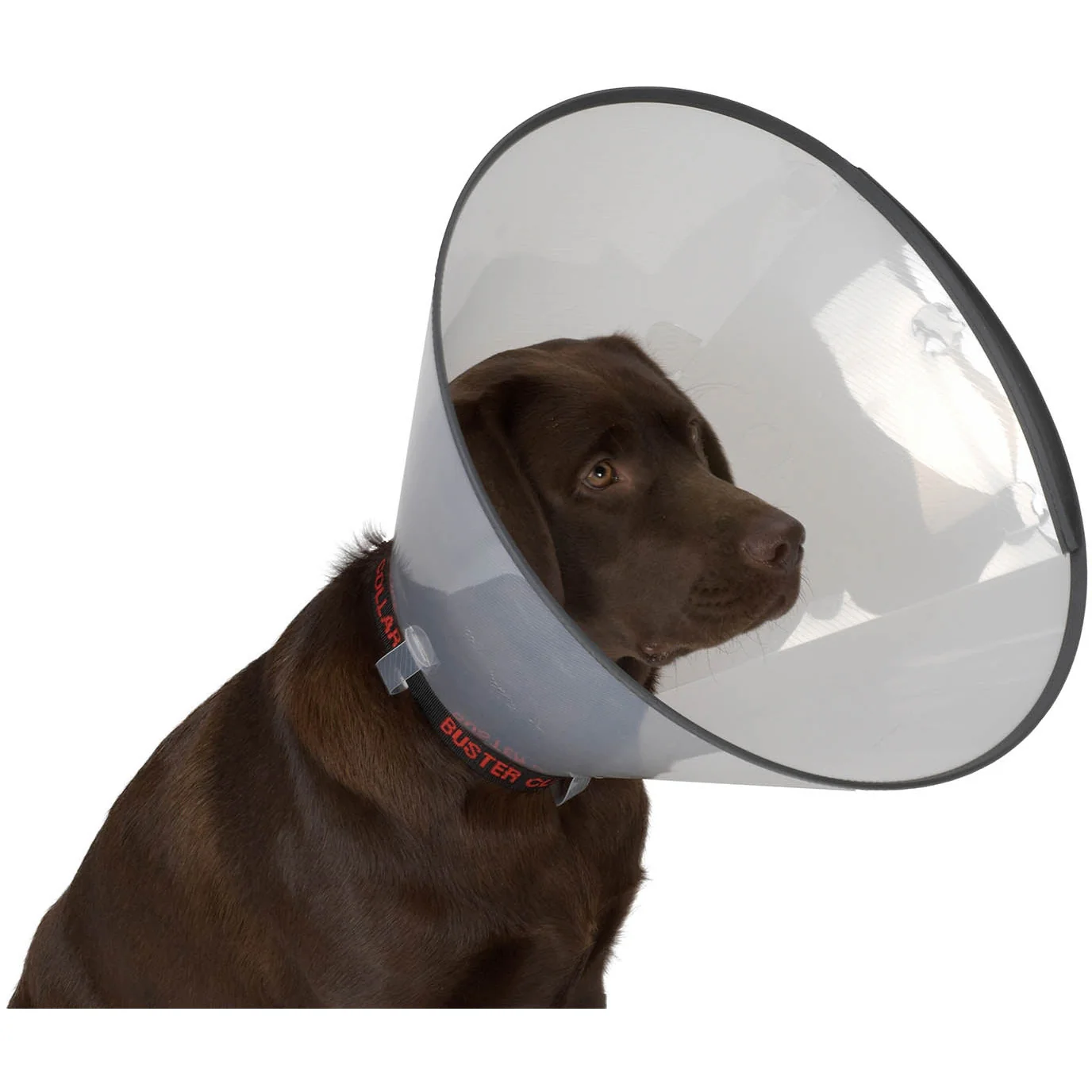 Buster Comfort Collar 10cm Pack 5  - Image 3