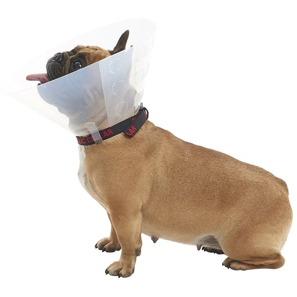 Buster E-Collar For Dogs Medium - Pack of 10 - Image 11