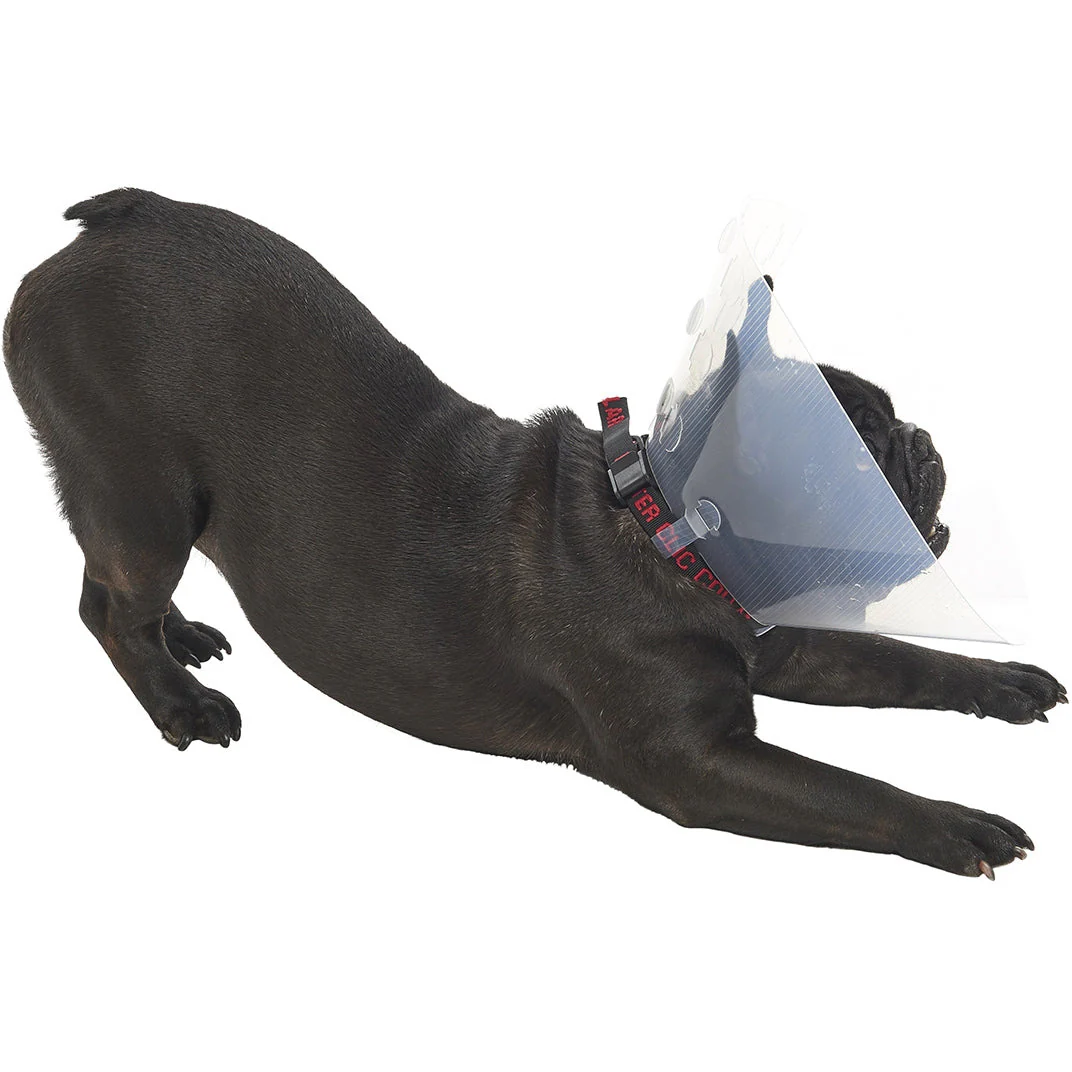 Buster E-Collar For Dogs Medium - Pack of 10 - Image 4