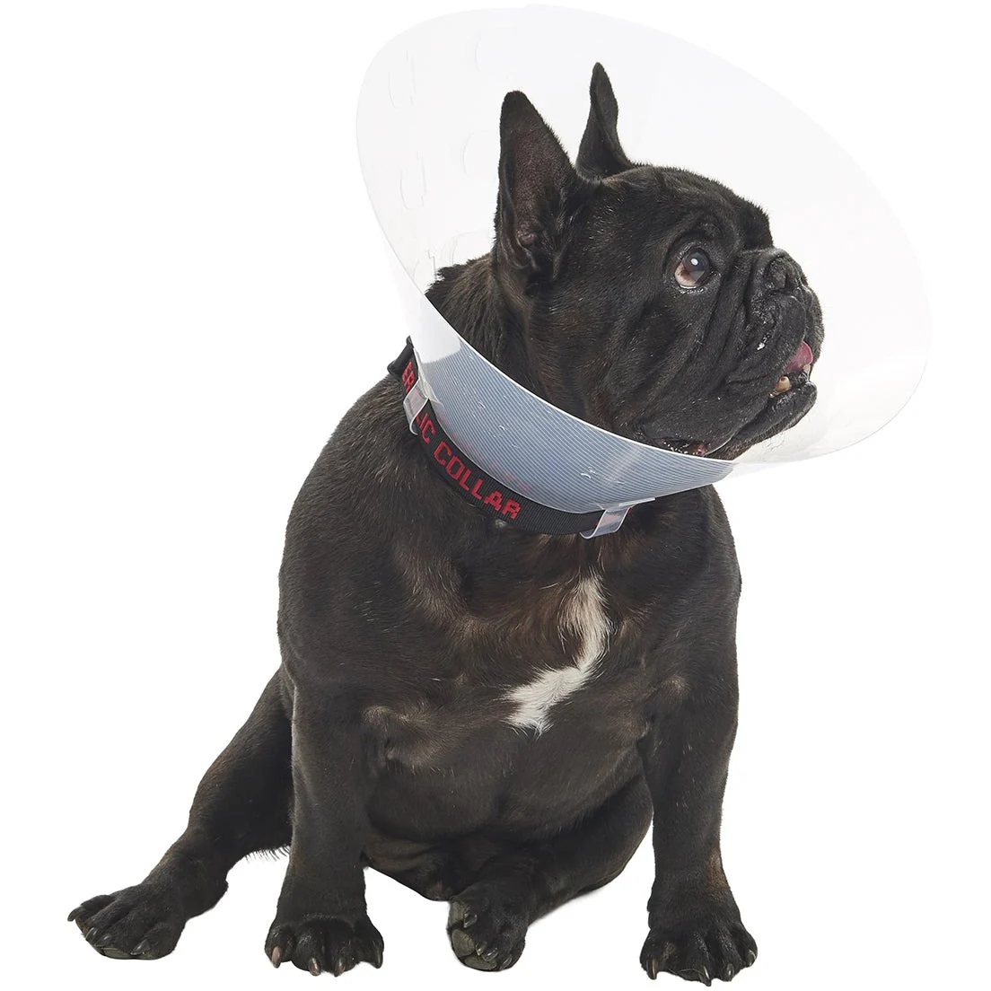 Buster E-Collar For Dogs Medium - Pack of 10 - Image 7