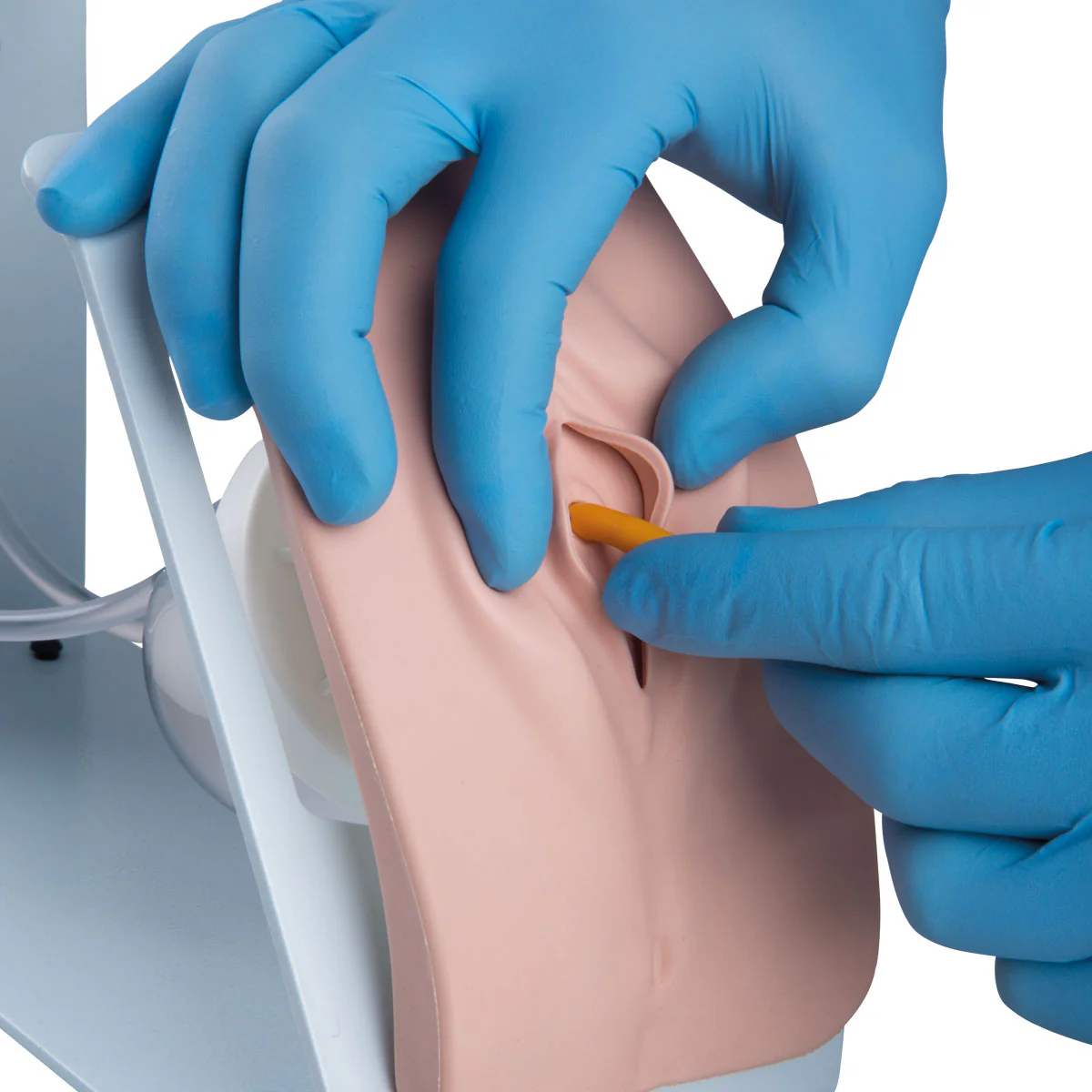 Catheterization Simulator Set - Image 5