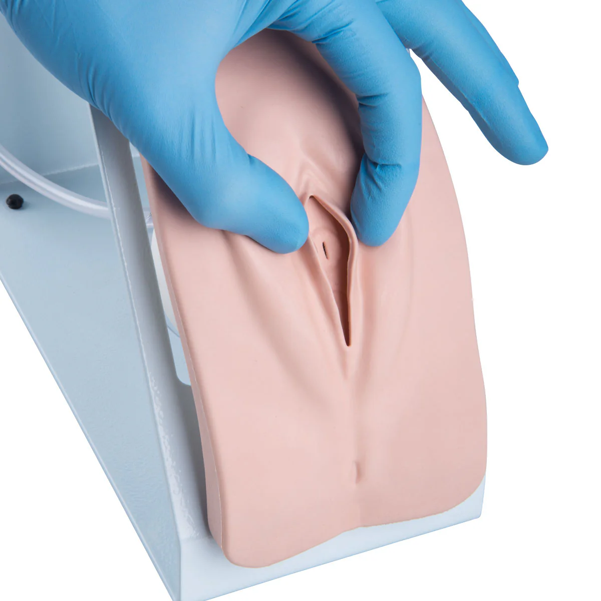 Catheterization Simulator Set - Image 6