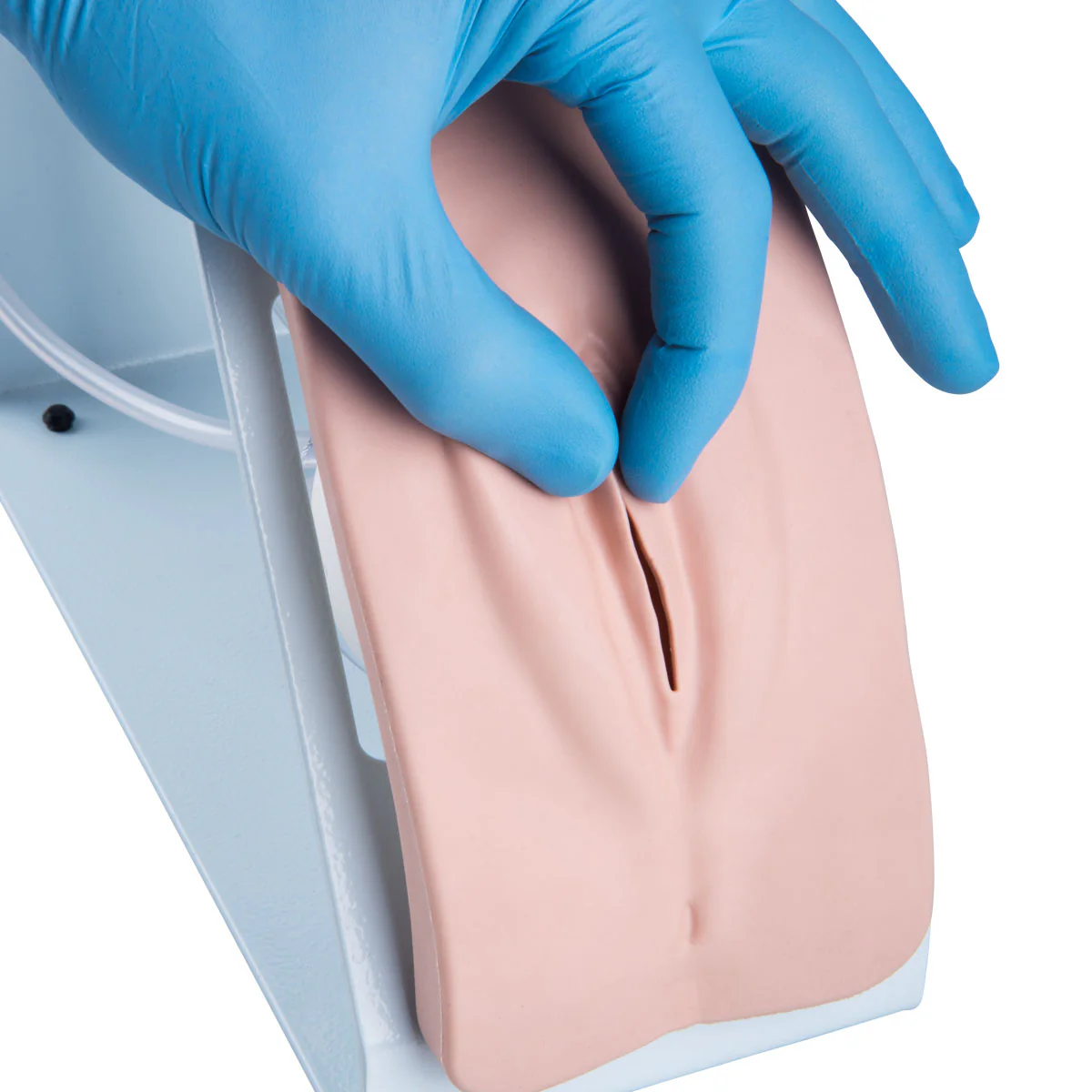 Catheterization Simulator Set - Image 7