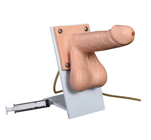 Condom Training Model - Image 2