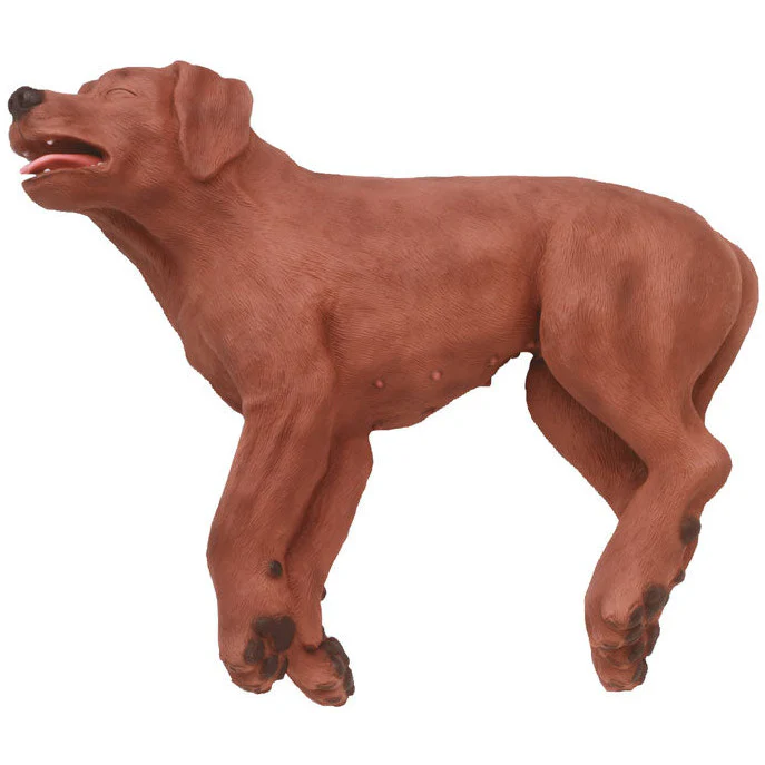 CPR Dog Casper