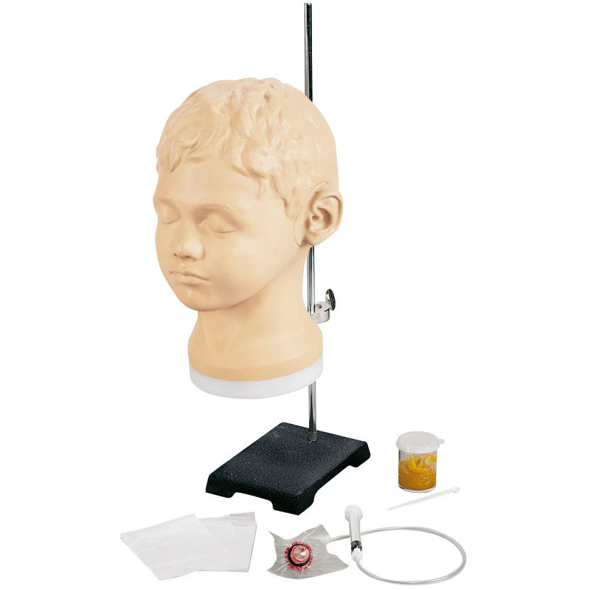 Diagnostic & procedural ear Trainer