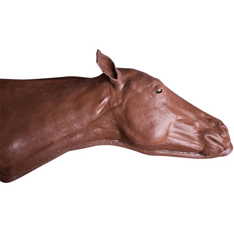 Equine Vascular Access Simulator - Image 2