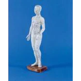 Female Chinese Acupunture Model - Image 2