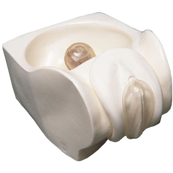 Female Condom Model