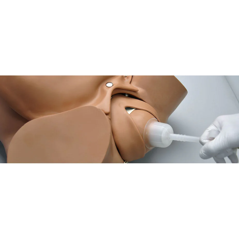 Fetal baby - Umbilical Cord - & Placenta for Vacuum Delivery for R17840