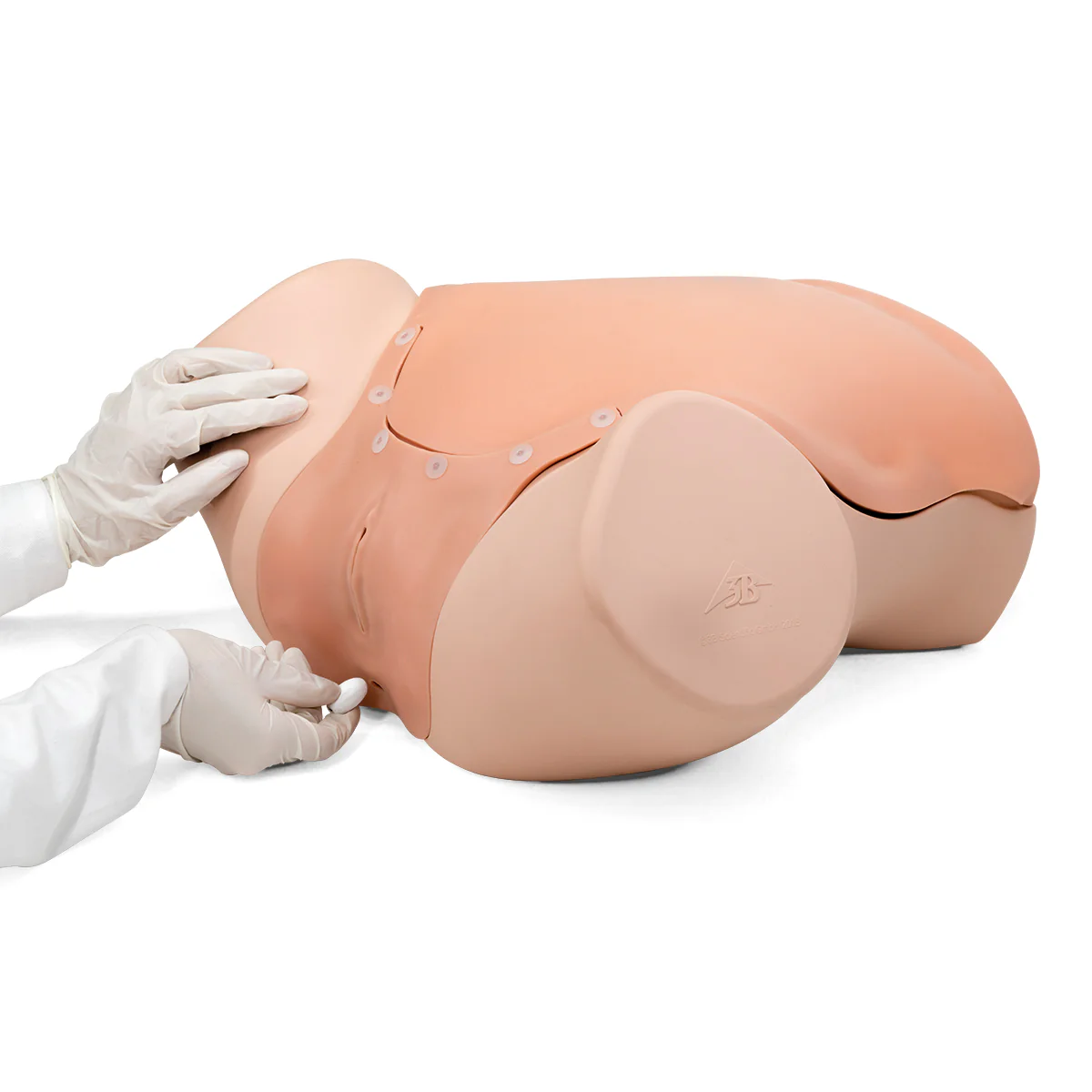 Gynecologic Skills Trainer P91 - Image 3
