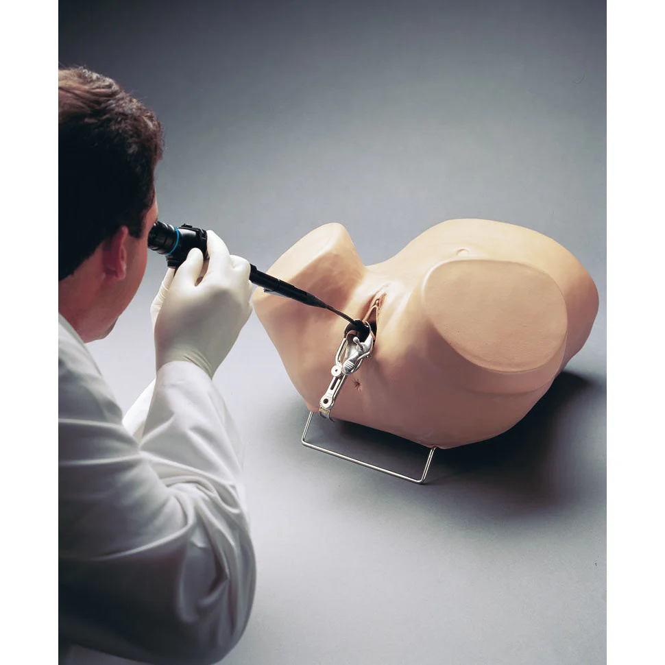Hysteroscopy Simulator