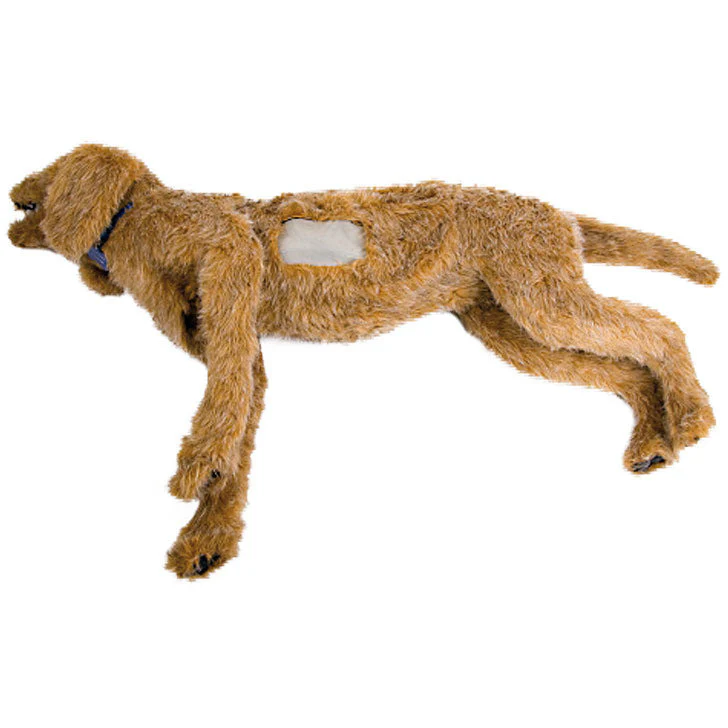 K-9 Thoracentesis