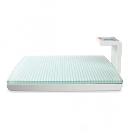 Marina Digital Scale