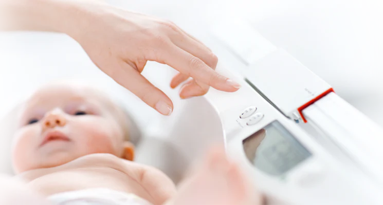 Measuring Rod for Seca Baby Scale 376/374 - Image 3