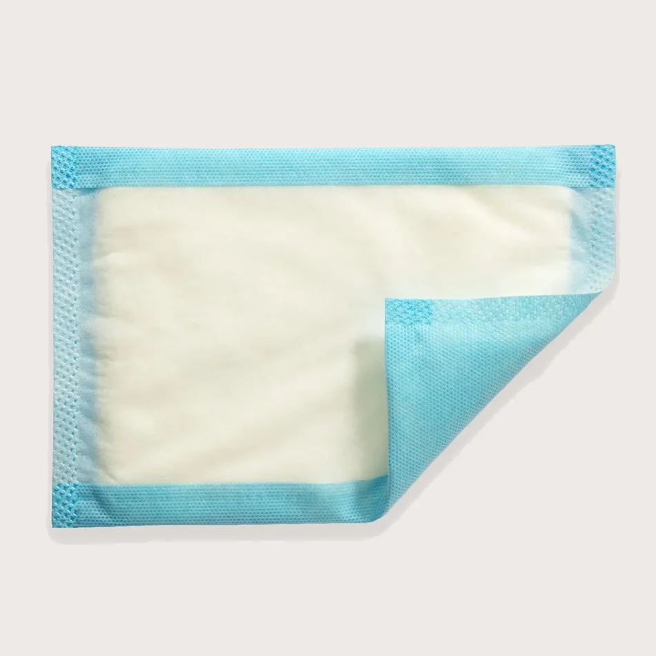Mesorb Absorbant Dressing 10X20CM - Single - Image 2