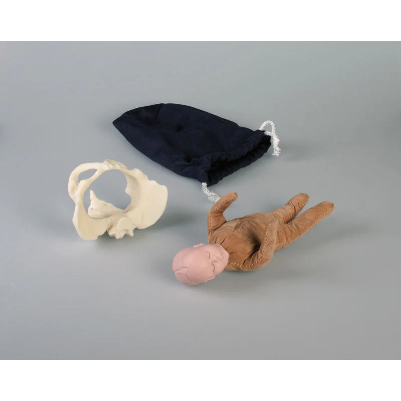 Miniature Birth Demonstration Set with Foetus Doll