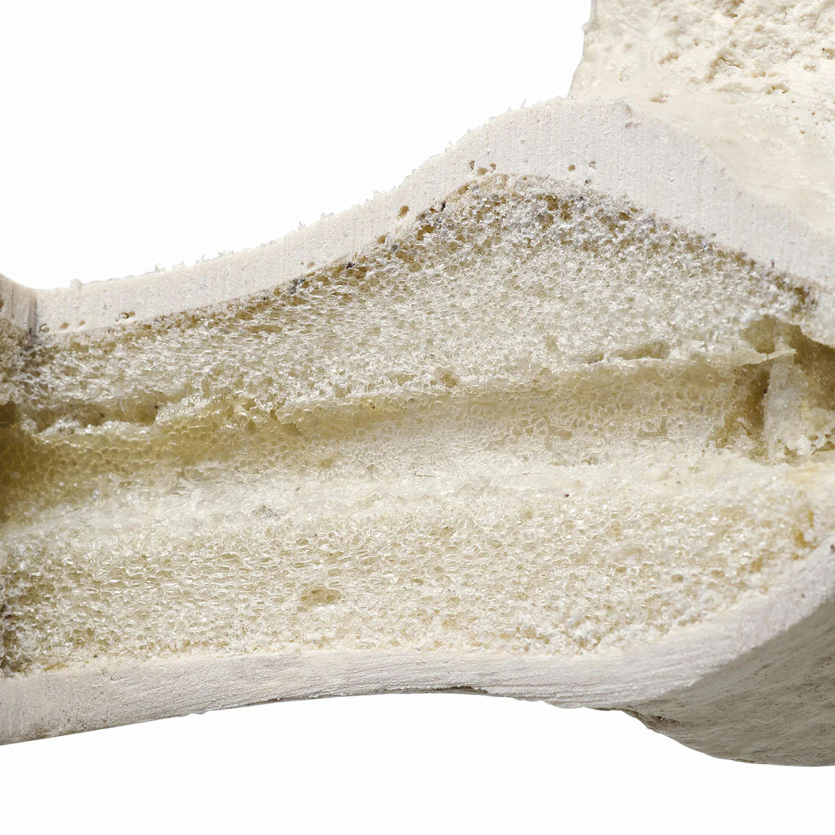 ORTHObones Premium Sacrum - Image 2