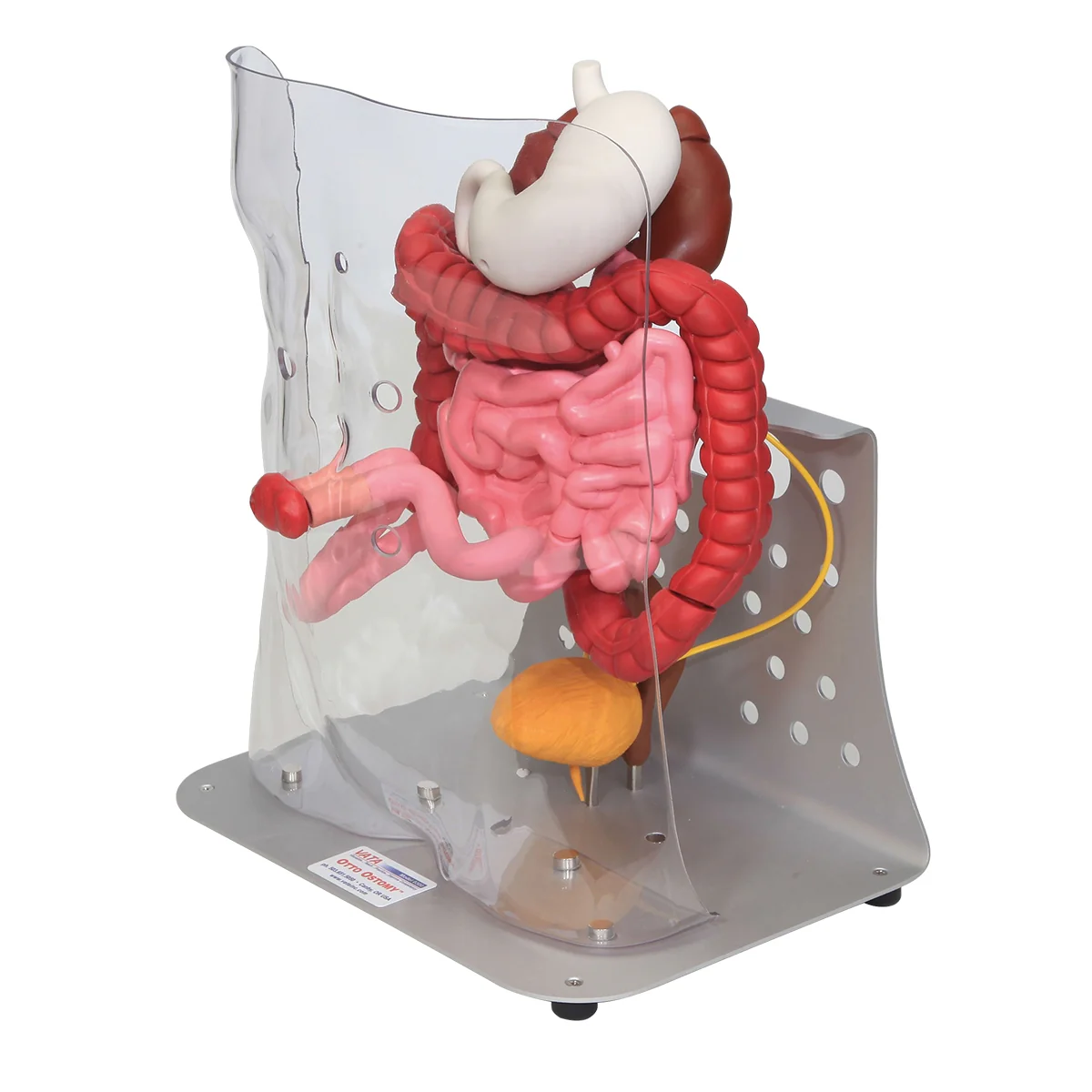 Otto Ostomy™ Advanced Model - Image 2
