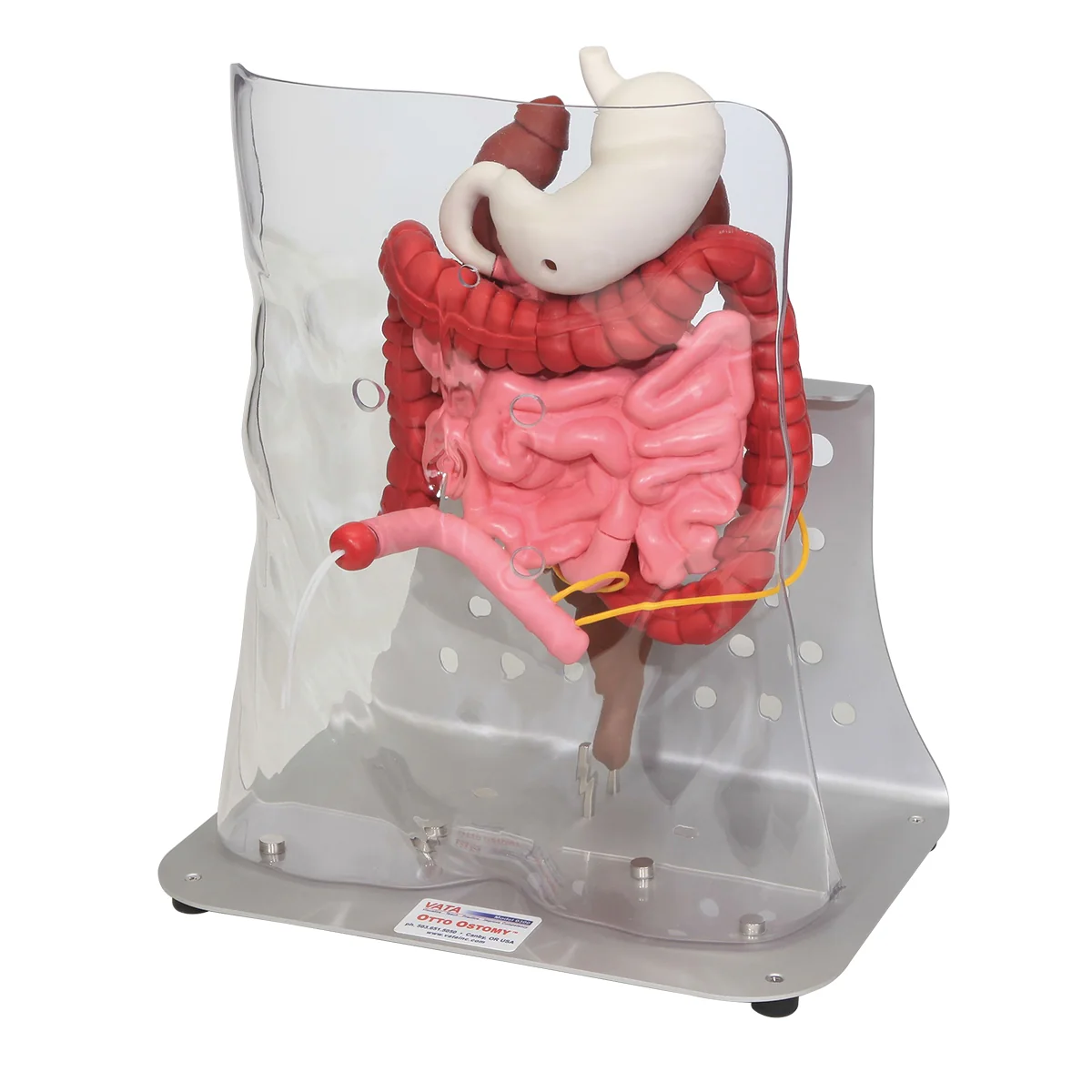 Otto Ostomy™ Advanced Model - Image 3