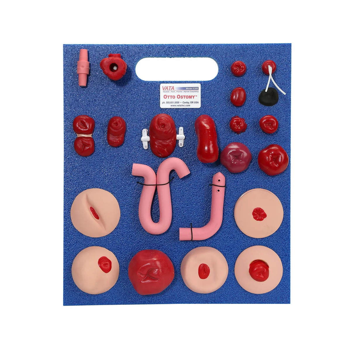Otto Ostomy™ Advanced Model - Image 8