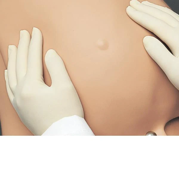 Palpation Module for Leopold Maneuvers for R17840
