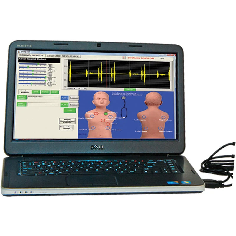 PAT Pediatric Auscultation Trainer - Image 2
