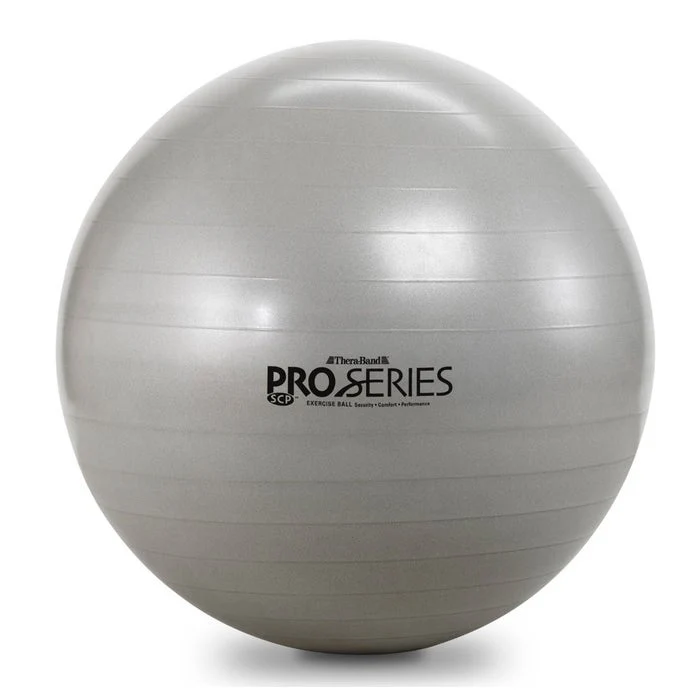 Performance Gym Ball 55cms In Silver