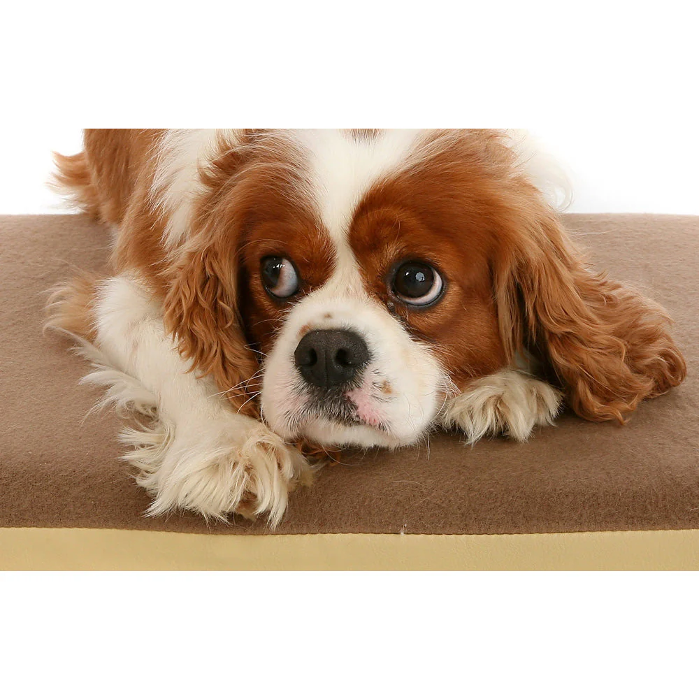 Posture Pal Orthopaedic Bedding 24x18in - Image 4