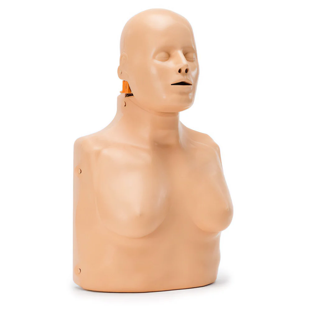 PractiMan Female Manikin Skin - Single - Image 3