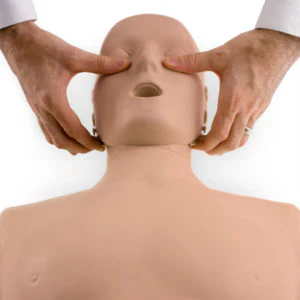 Prestan Jaw Thrust Head for Adult Manikin - Single
