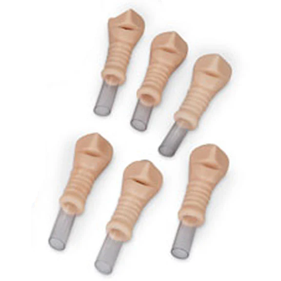 Replacement Trachea Set Adult (6 pcs) for R10723