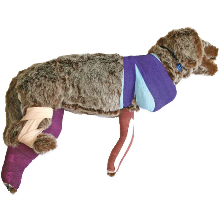 Rufus Bandaging Manikin