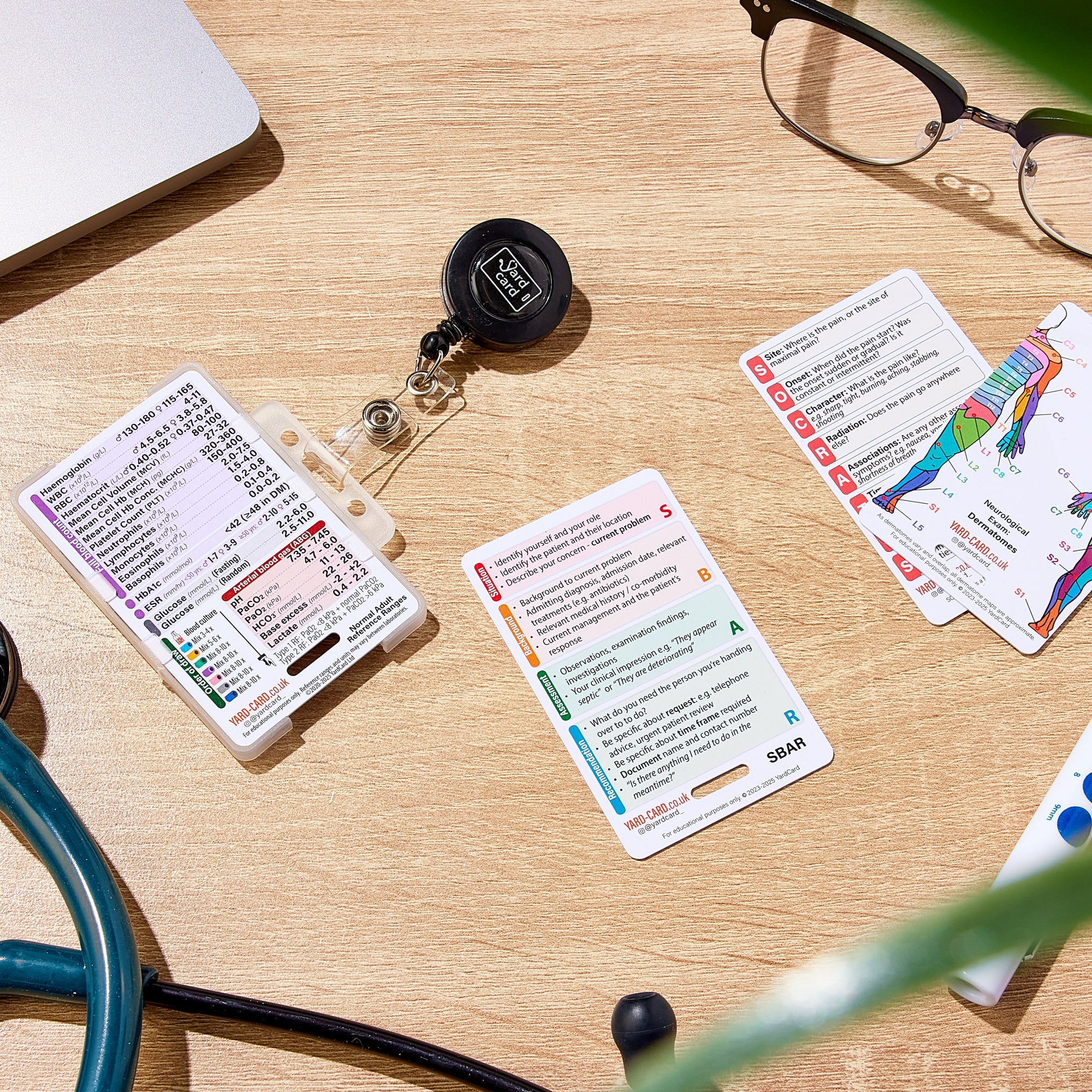 Set of 12 Essential Lanyard Cards (ID Card Size) with Holder & Retractable Reel - Image 12