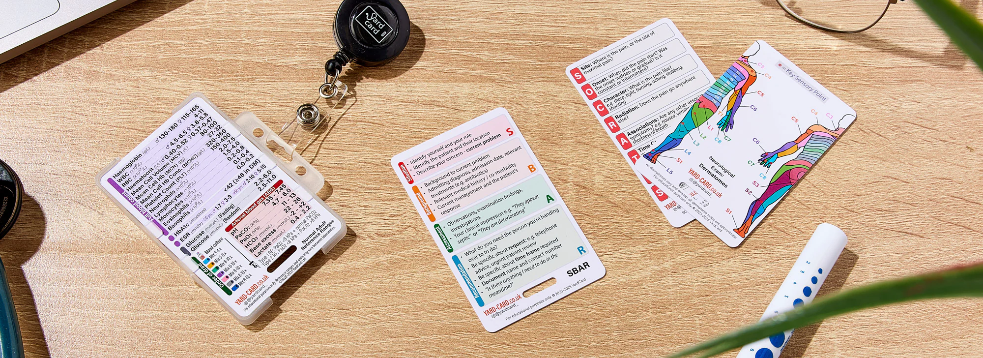 Set of 12 Essential Lanyard Cards (ID Card Size) with Holder & Retractable Reel - Image 16