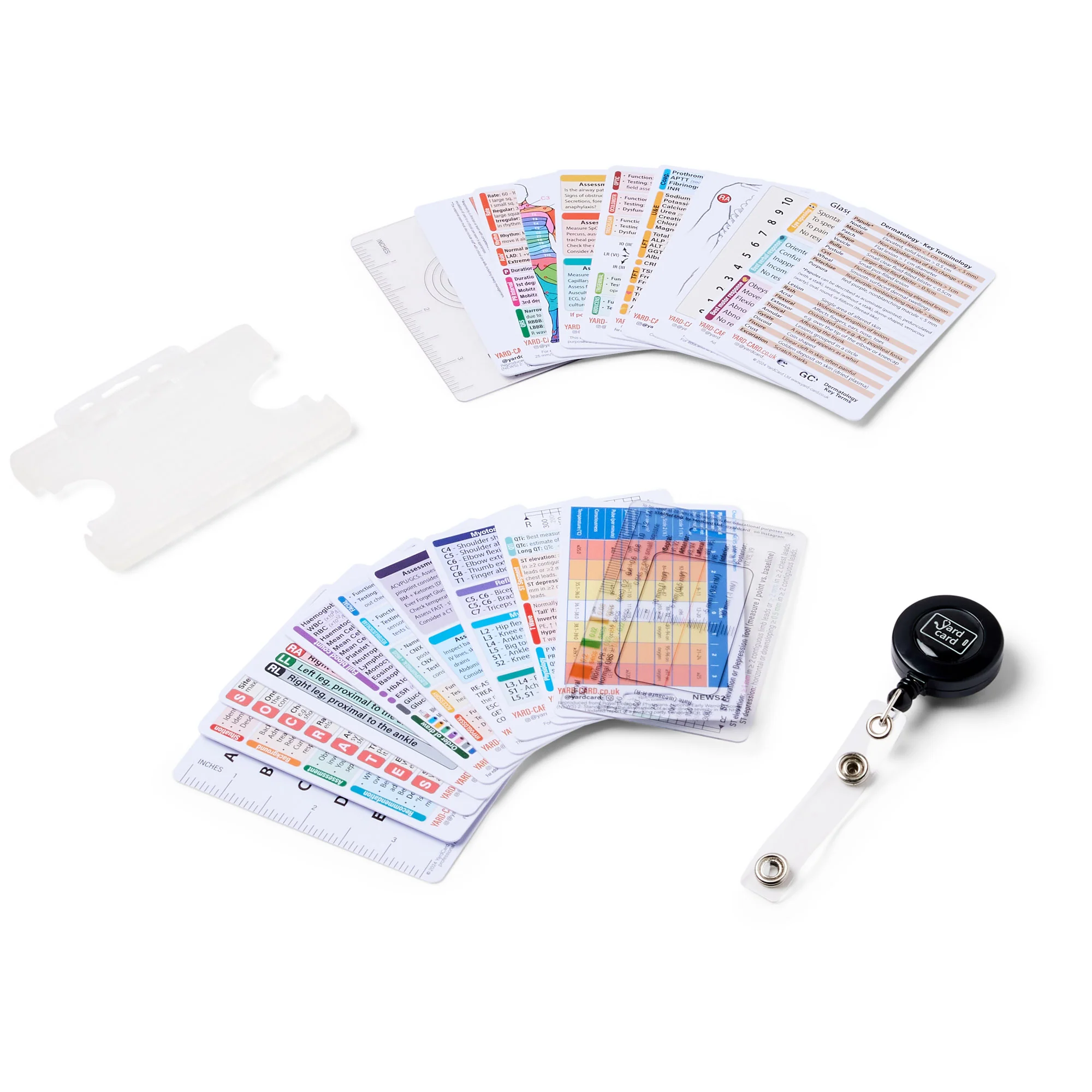 Set of 12 Essential Lanyard Cards (ID Card Size) with Holder & Retractable Reel - Image 3