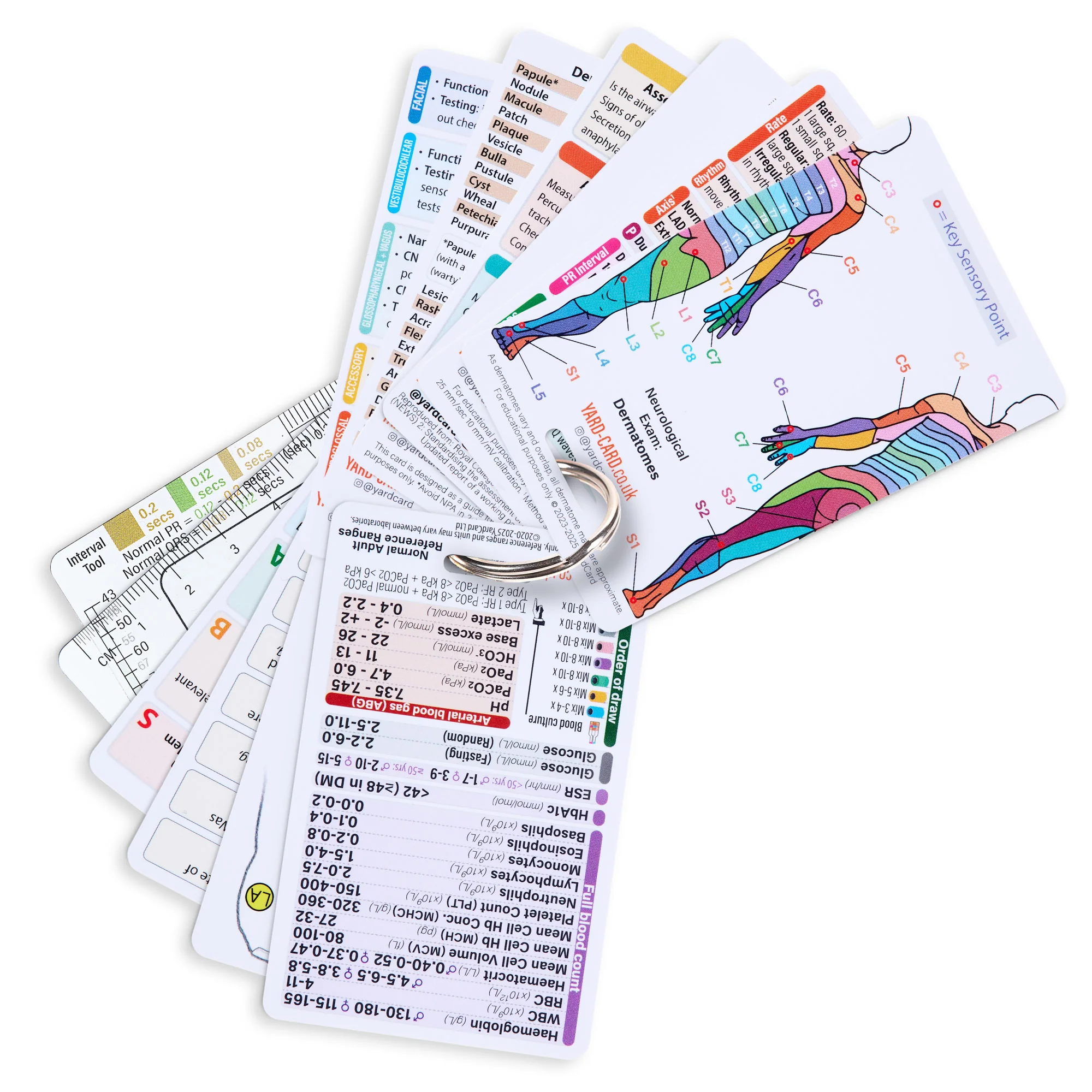 Set of 12 Essential Lanyard Cards (ID Card Size) with Holder & Retractable Reel - Image 5