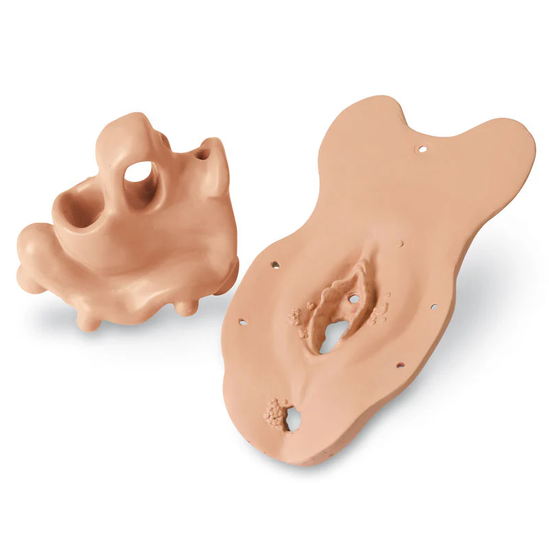 Sexually Transmitted Diseases (STD) Module