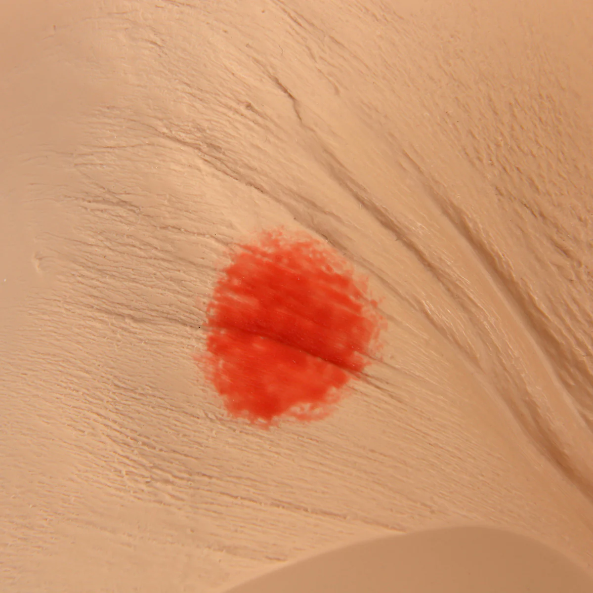 Seymour II™ Wound Care Simulator - Image 5